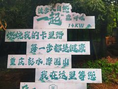 -摩围山景区