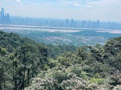 -岳麓山风景名胜区