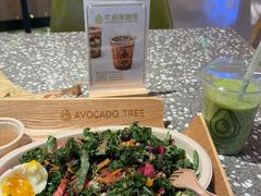 -油梨树AVOCADO TREE(嘉里中心店)