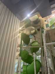 -MELAND CLUB亲子乐园•派对(石家庄万象城店)