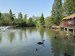 -溱湖国家湿地公园