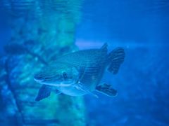 -烟台海昌鲸鲨海洋公园