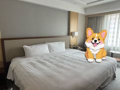-长春香格里拉