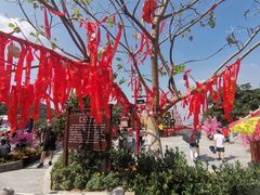 -东莞观音山旅游风景区