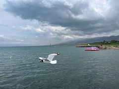 -青海湖国家重点风景名胜区