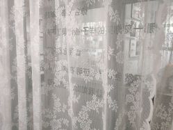 -亲吻宝贝儿童摄影