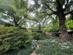 -惠山古镇·寄畅园