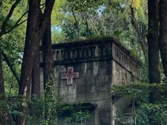 -缙云山景区