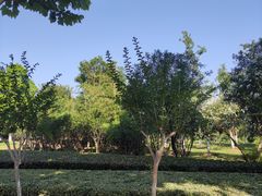 -滨湖塘西河公园
