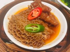-南枝记