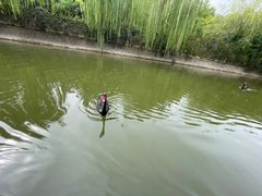 -南翠屏公园