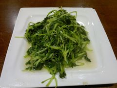 清炒鸡毛菜-19号私房菜(云南路店)