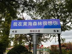 -黄海国家森林公园