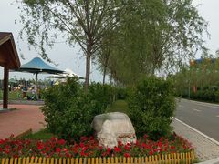 -呼兰河口湿地公园