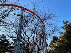 -朝阳公园游乐园