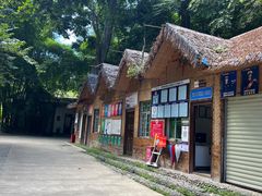 -西双版纳基诺山寨