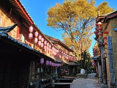 -沈记土鸡米线(七星街品牌中心店)