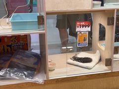 -屋虎猫馆(宝安大仟里店)