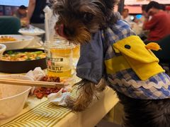 -铭副琦食·虾蟹烩馆(渔人码头店)