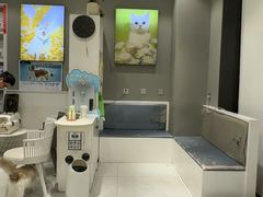 -关爱宠物医院·猫科中心·消化科(滨湖万达分院)