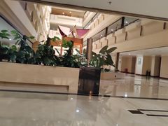 -深圳维景酒店