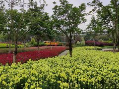 -文华公园(禅城区)