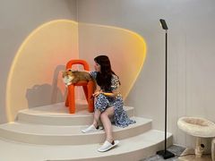 -More Fun猫咖 二十只万元加菲主题