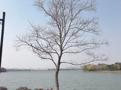 -石湖景区