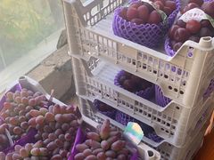 -马陆小张葡萄园农家乐