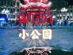 -汕头市小公园
