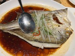 白蕉海鲈鱼-江南原著(中联广场店)