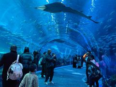 -成都浩海立方海洋公园