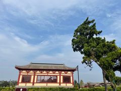-洛阳古墓博物馆