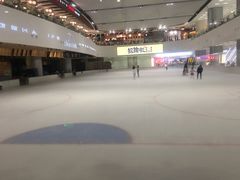 -TheRink大零溜冰场(IFS国金中心店)