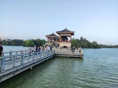 -惠州泗洲塔