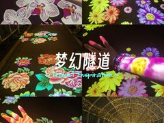 -太阳宫公园