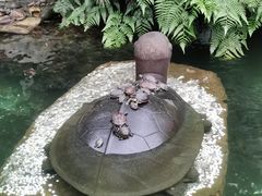 -鼎湖山风景区