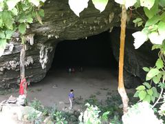 -海南霸王岭国家森林公园