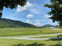 -风云岭森林公园