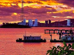 -醉壹号海鲜大排档(厦门美食地标店)