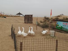 -黄沙古渡原生态旅游区