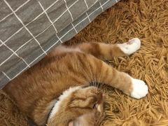-小时光咖啡馆(开森度假森林店)