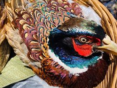 -三锅莊·牦牛肉火锅·香格里拉特色藏餐宴请餐厅(菱角塘路店)