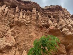 -元谋土林景区(物茂土林)