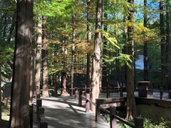 -国家植物园南园