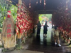 -莫里热带雨林景区