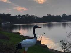 门面-三岔湖景区
