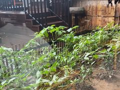 -黄山老妈·土菜(碧桂园店)