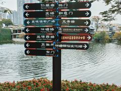 -荔湾湖公园