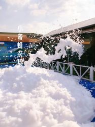 -小蜜蜂农场(凯德七宝购物广场店)